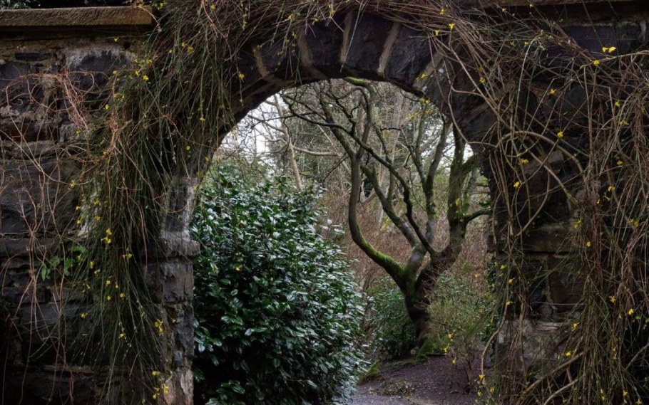 Беседка увитая плющом