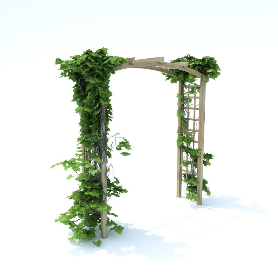 Пергола увитая плющом