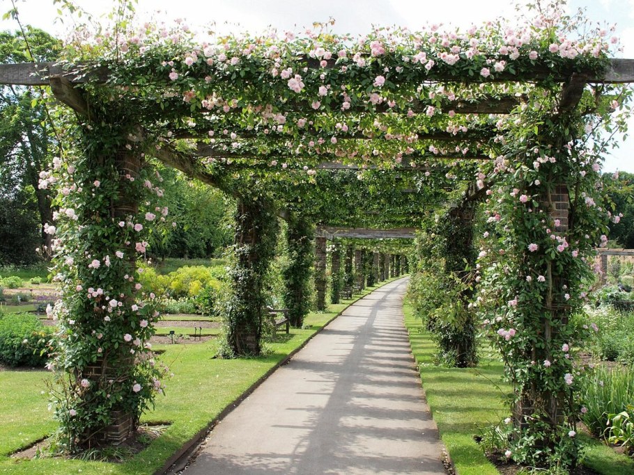 Аллея Берсо