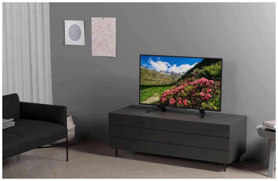 Телевизор Sony Bravia 43