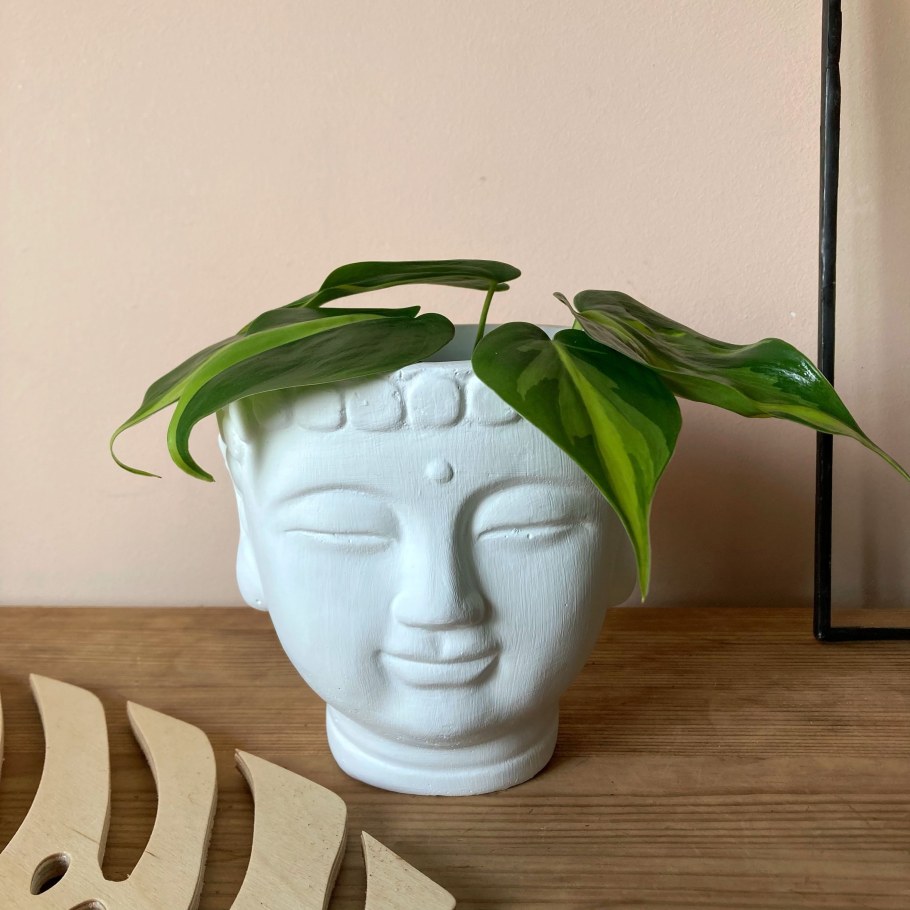 Кашпо лицо голова