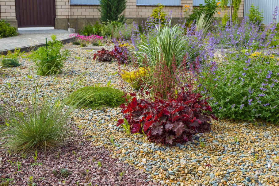 Роза сизая в ландшафте