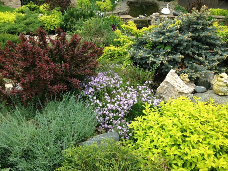 Миксбордер с можжевельником и барбарисом