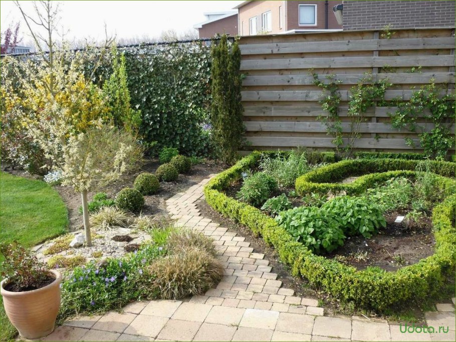 Барбарис Адмирейшн в ландшафтном