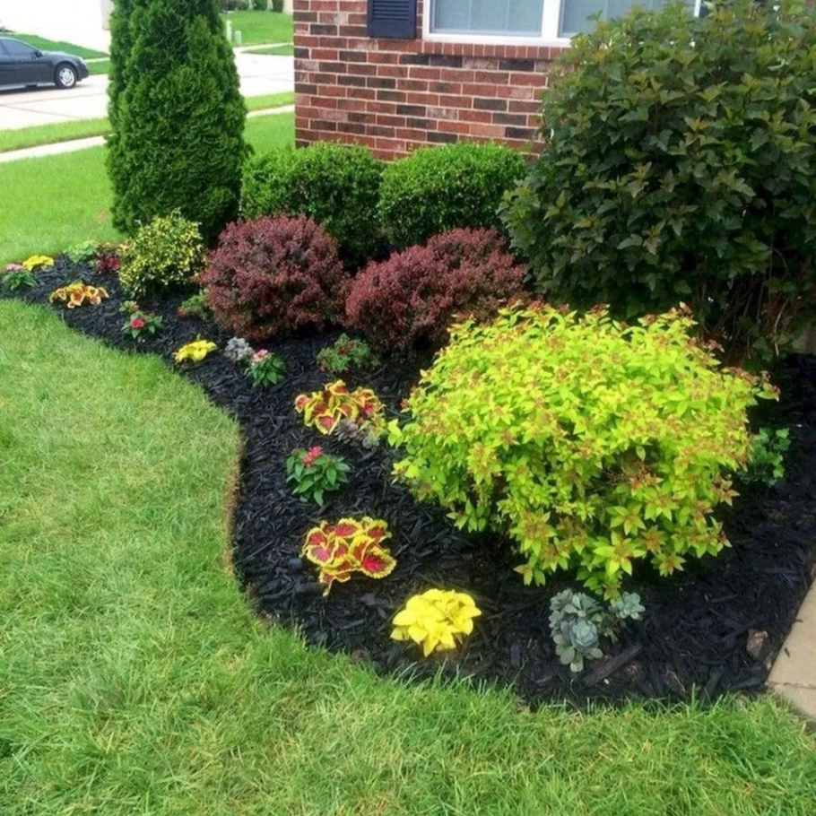 Пузыреплодник и Барбарис