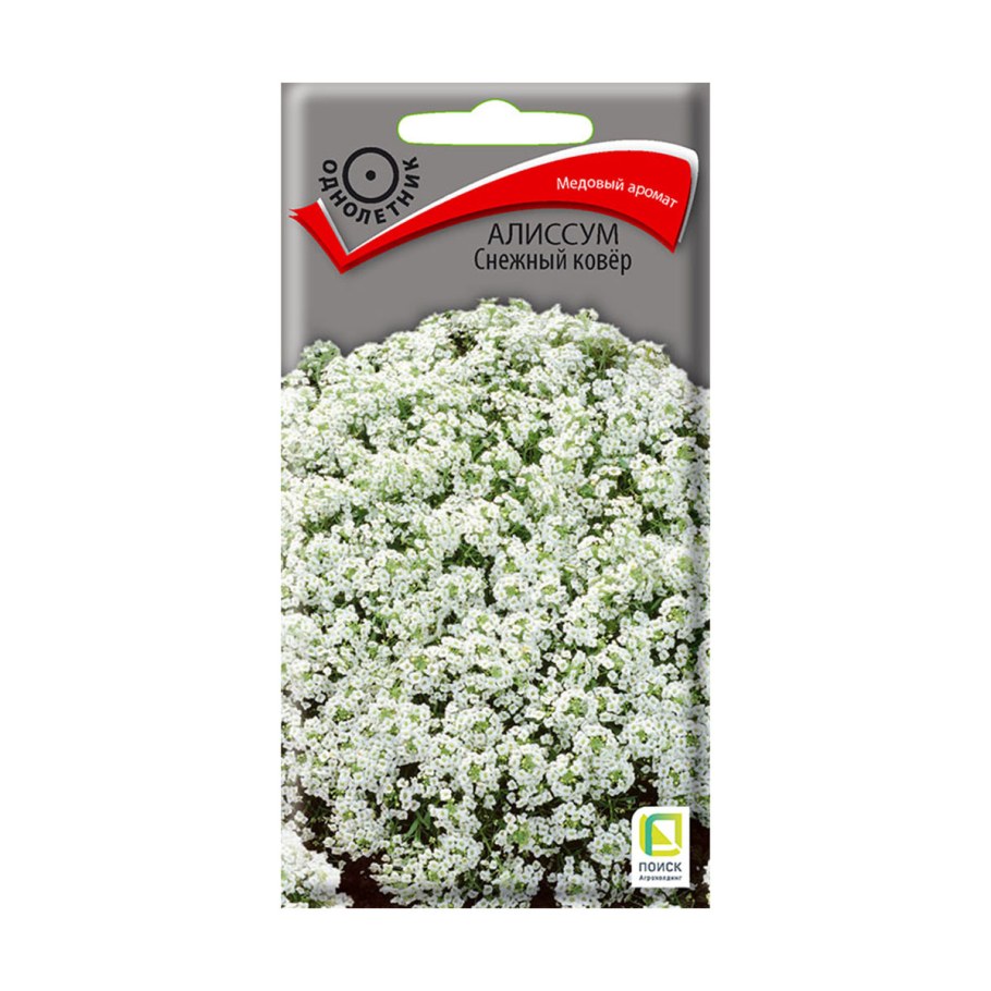 Ясколка и алиссум