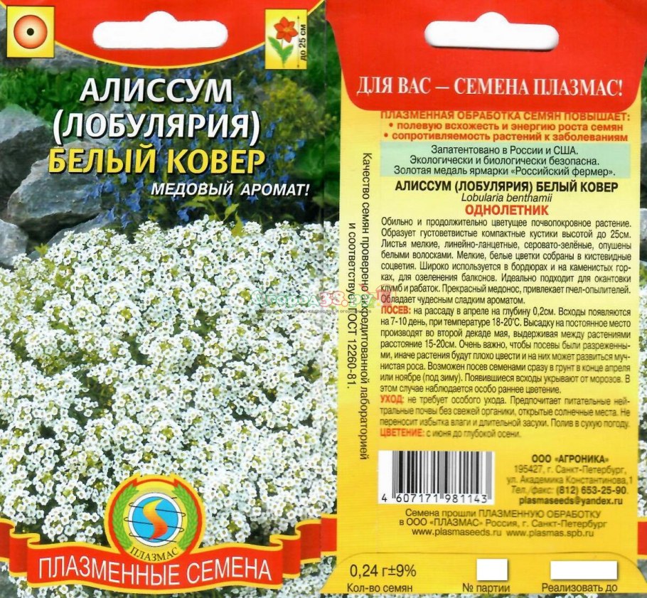 Алиссум многолетний