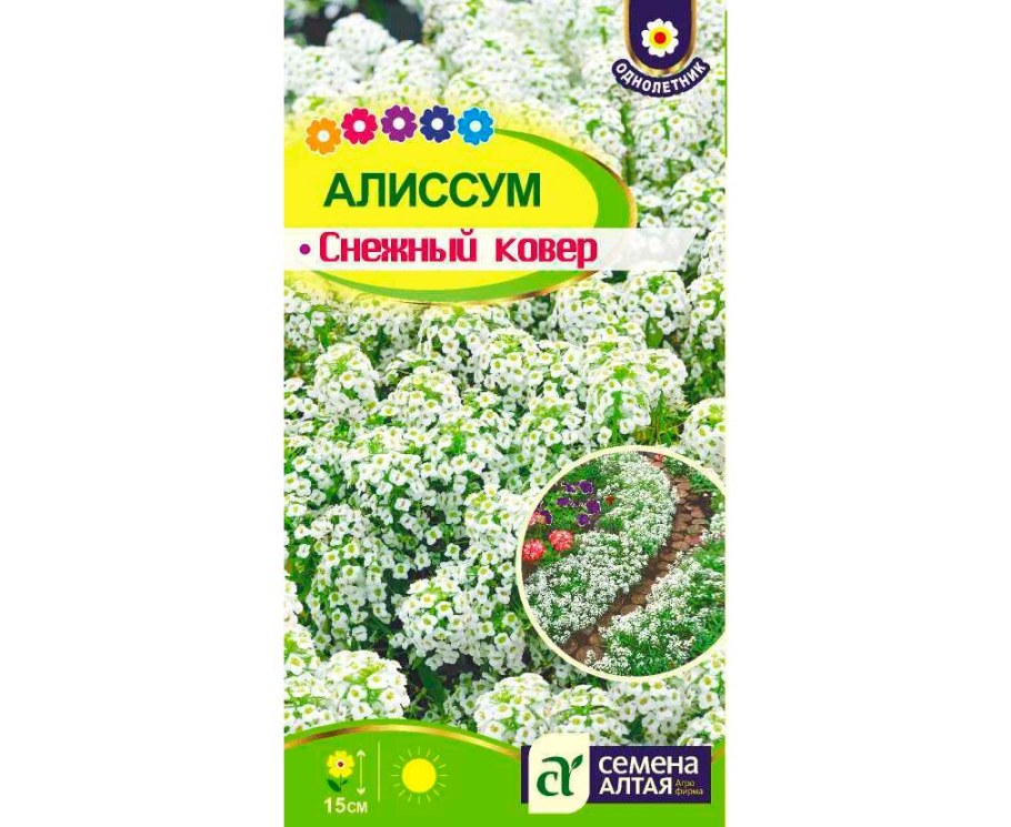Цветы алиссум снежный семена