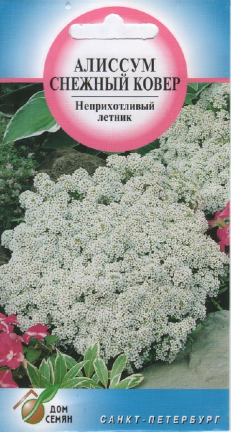 Алиссум снежный ковер