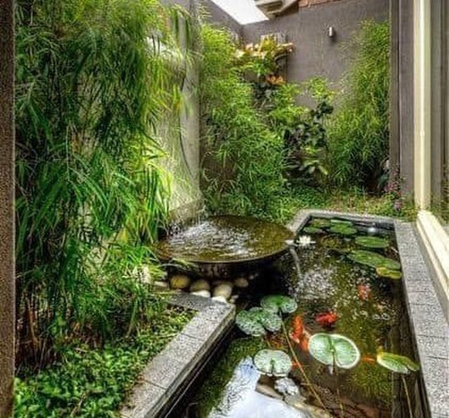 Зимний сад с водоемом