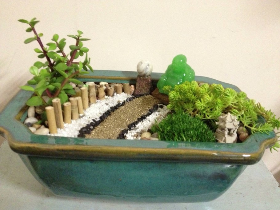 Мини сад в горшке