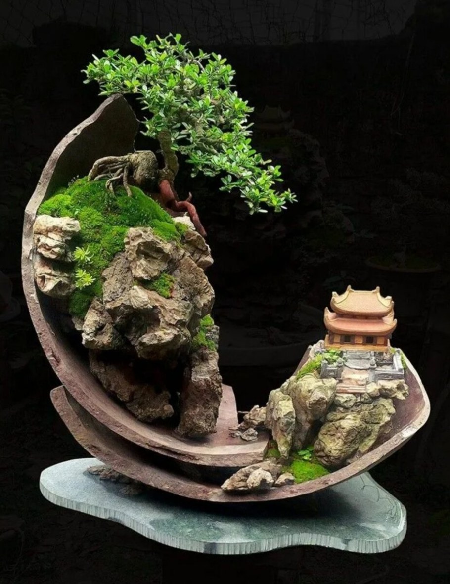 Японский сад бонсай