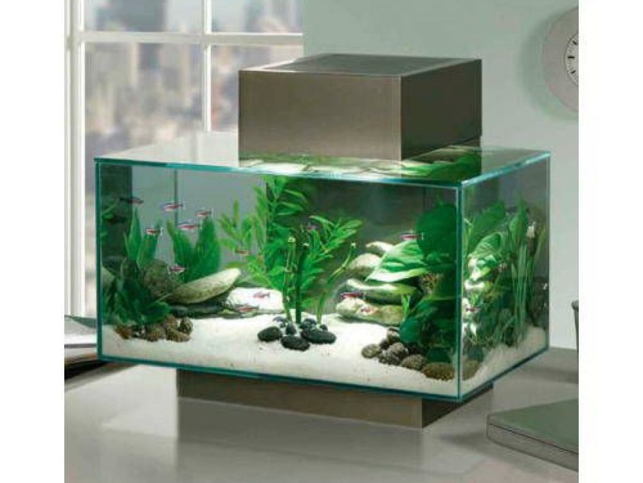 Нано риф Fluval Edge 6g