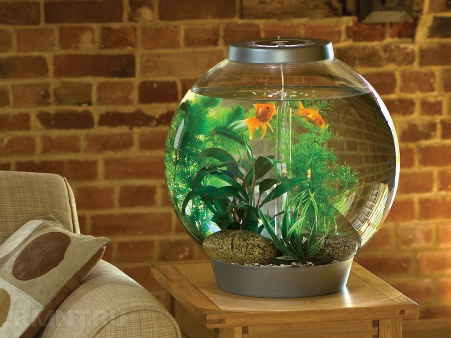 Круглые аквариумы 50л