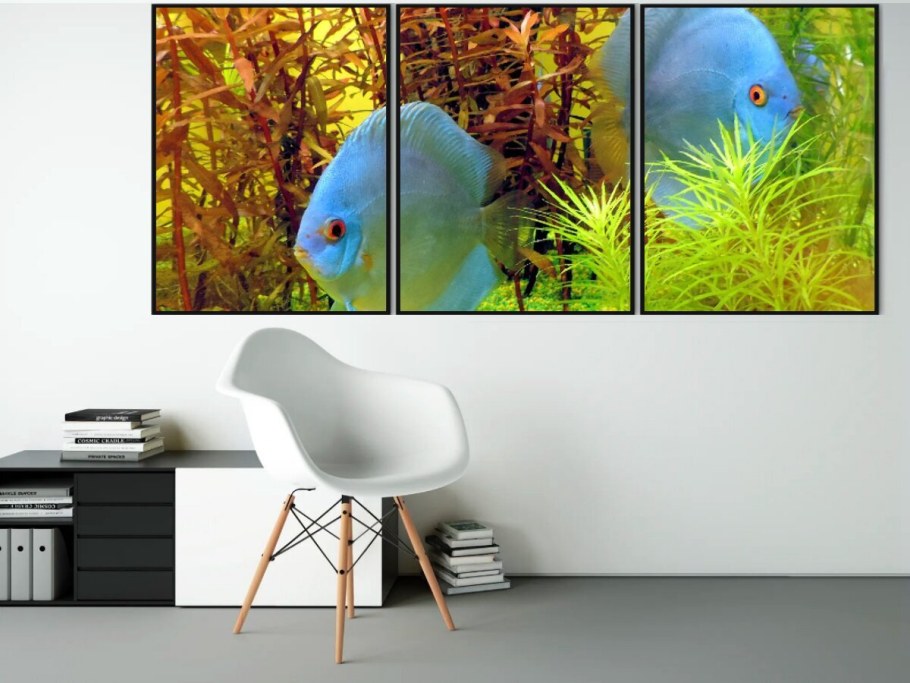 Модульный аквариум