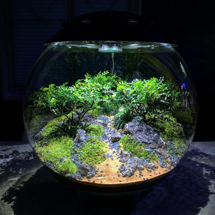 Флорариум BIORB Air 60 Grey