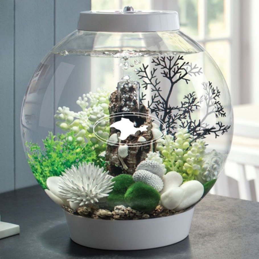 Аквариум BIORB Classic