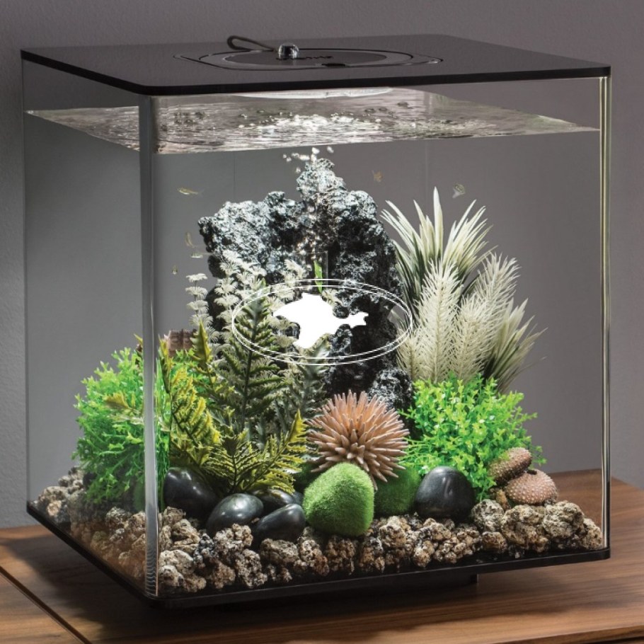 Аквариум BIORB Cube 30 led Black