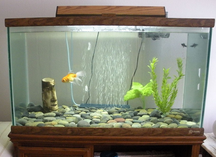 Аквариум простой
