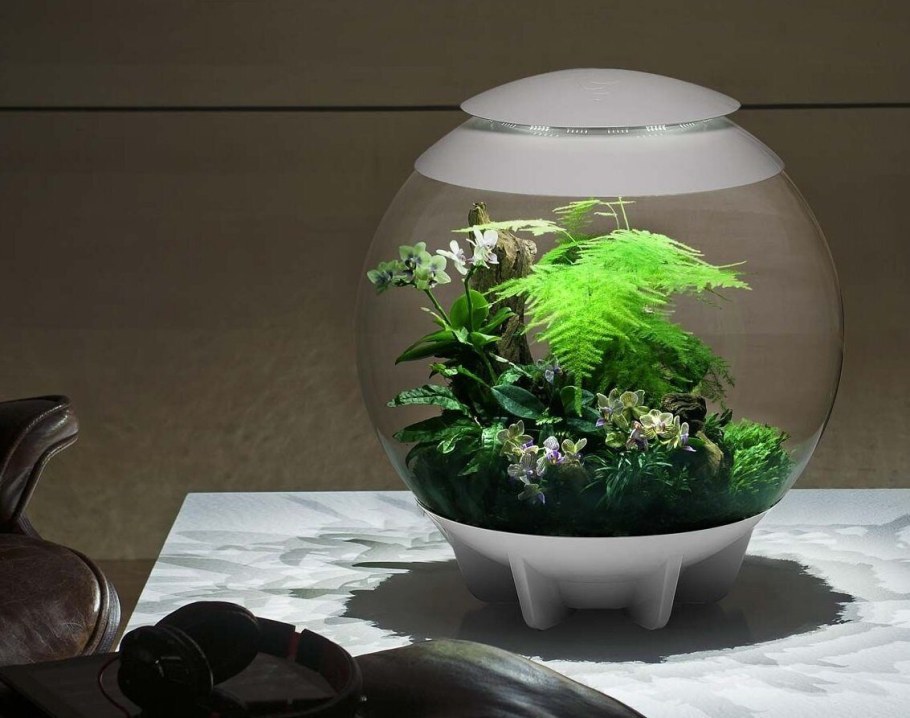 Флорариум BIORB Air