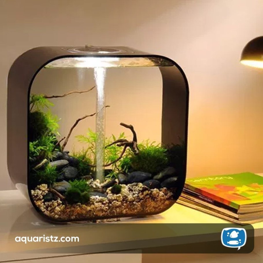 Аквариум BIORB Life