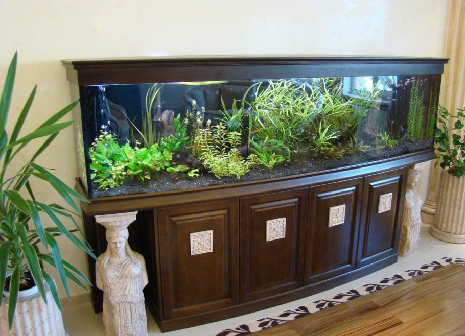 Красивые аквариумы