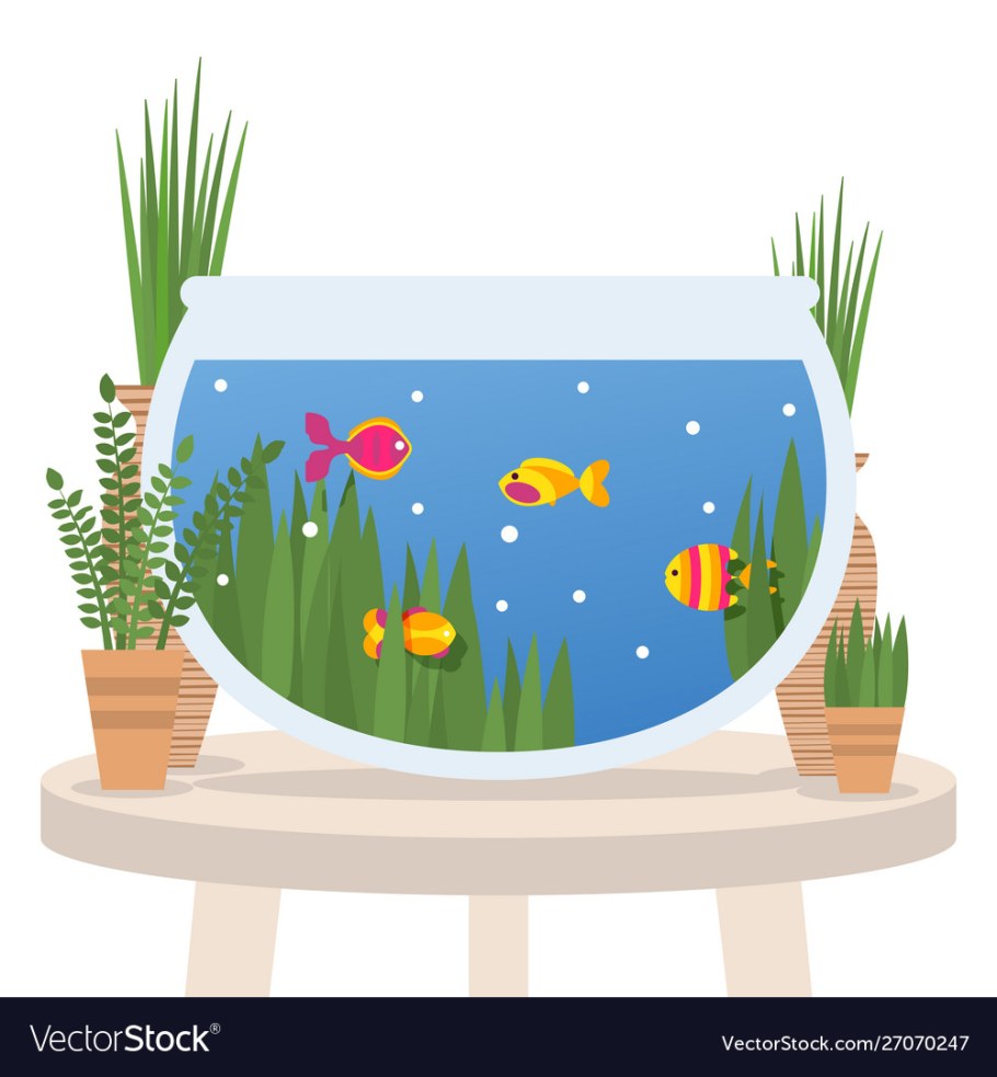 Аквариум мультяшный без рыб
