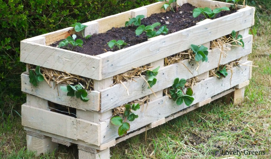 Клумба из поддонов