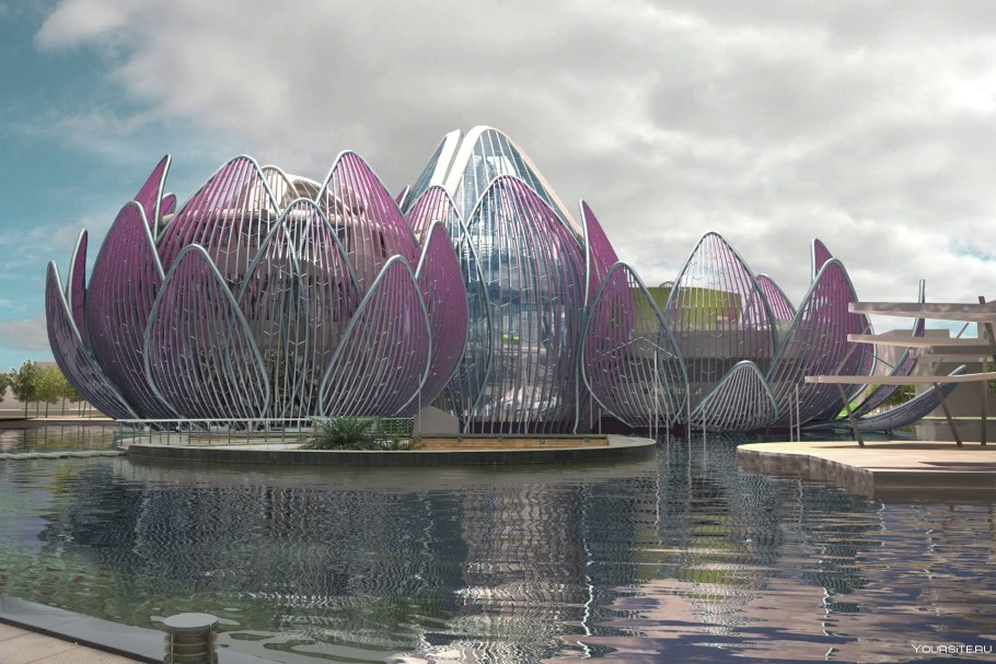 Выставочный центр Лотос в городе Чанчжоу Китай архитектура