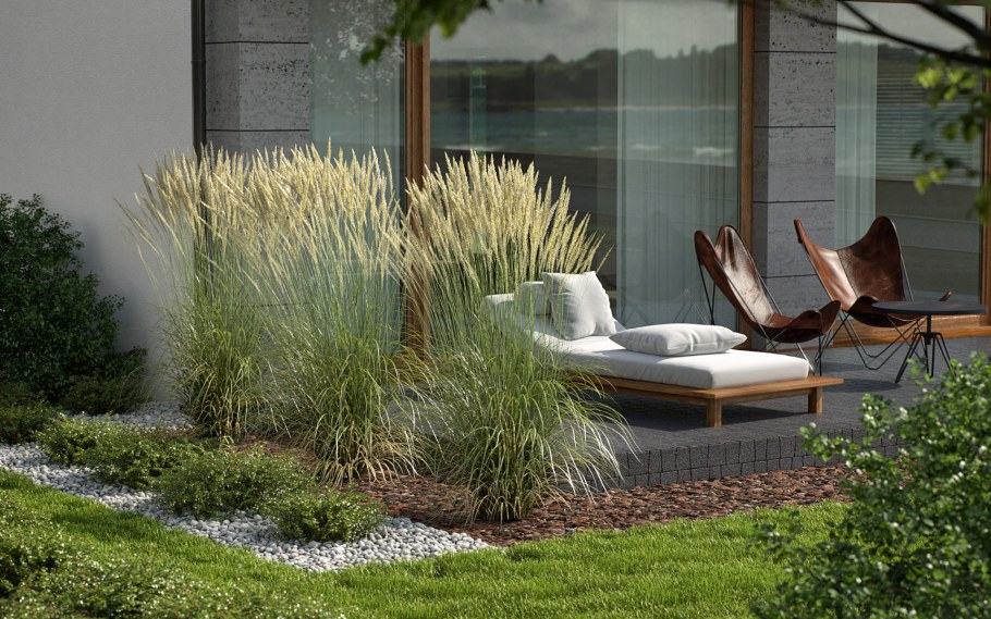 Вейник остроцветковый в ландшафте