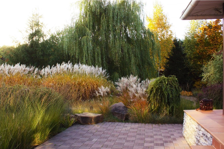 Голландский сад злаков Якобстуин: