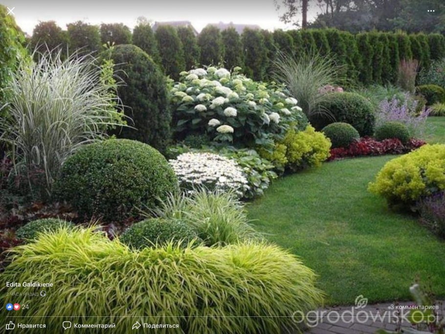 Хвойно Вересковый миксбордер