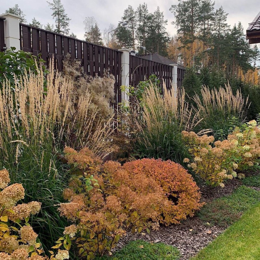 Вейник и пузыреплодник