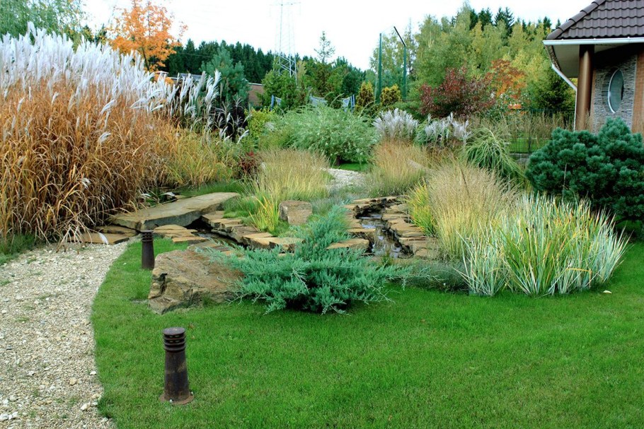 Злаковый сад в ландшафте