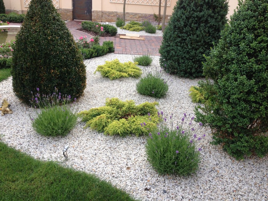 Мульчирование хвойников