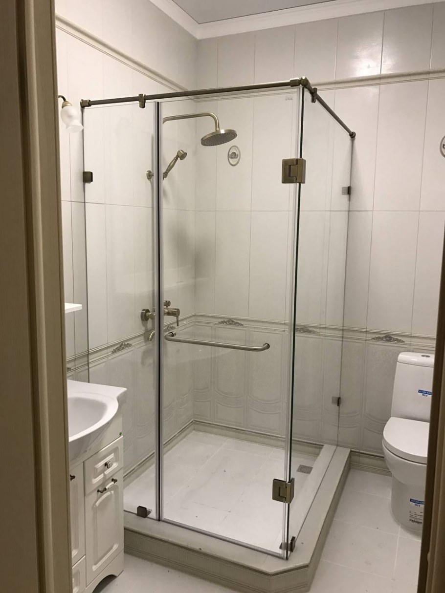 Стеклянная душевая перегородка Enigma