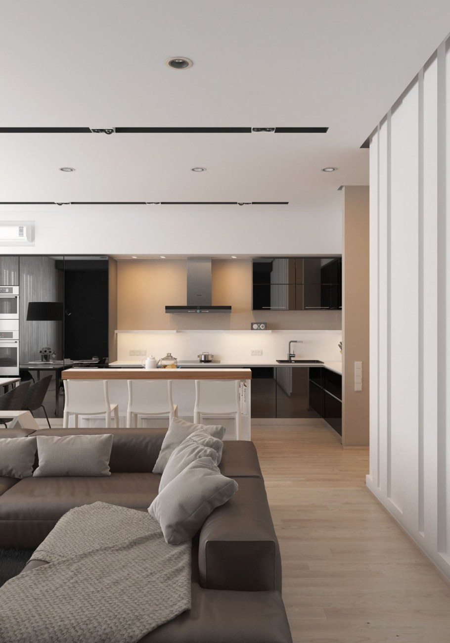 Кухня гостиная функционализм