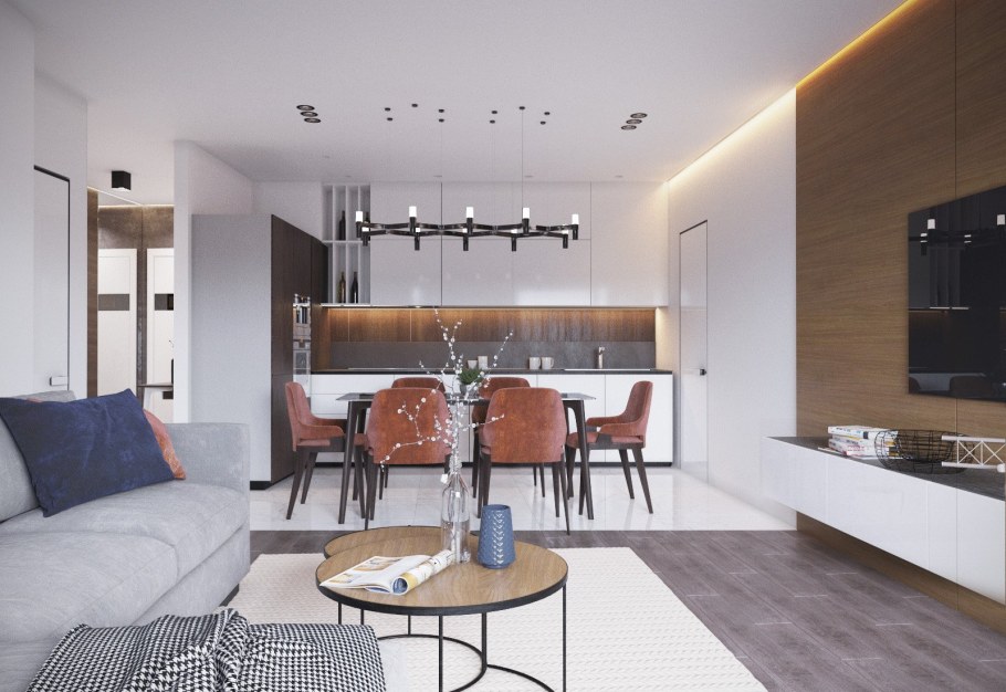 Кухня гостиная функционализм