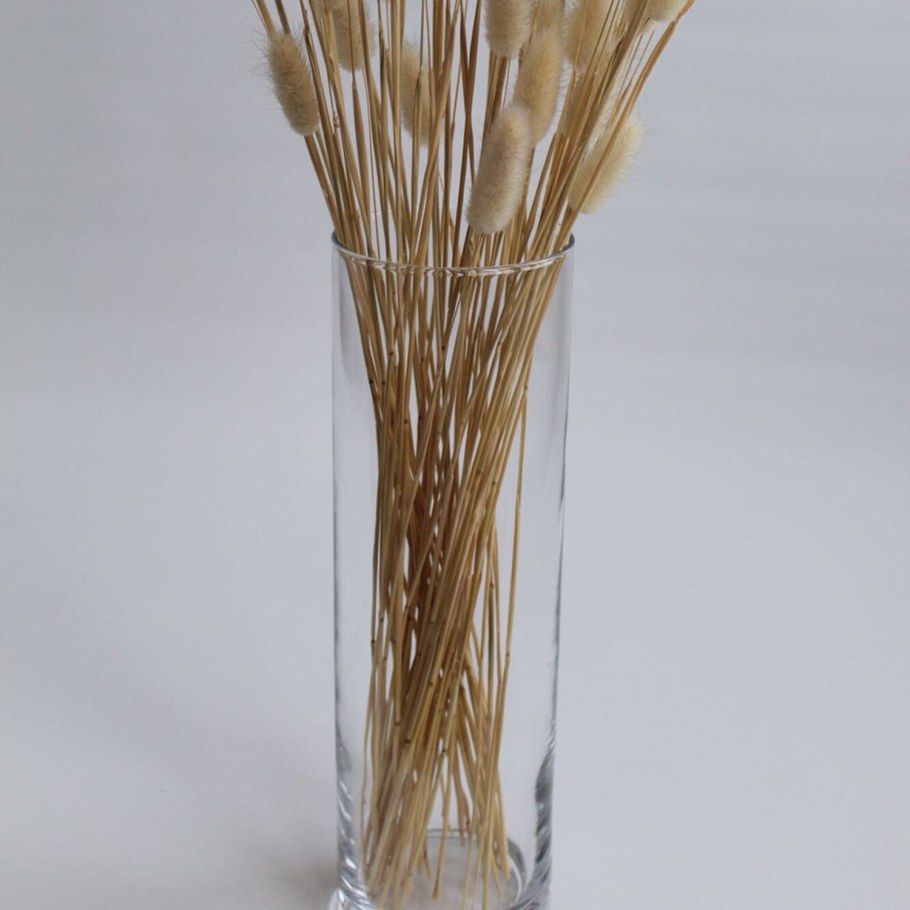 Сухоцветы в вазе