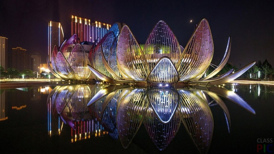 Лотос Чанчжоу