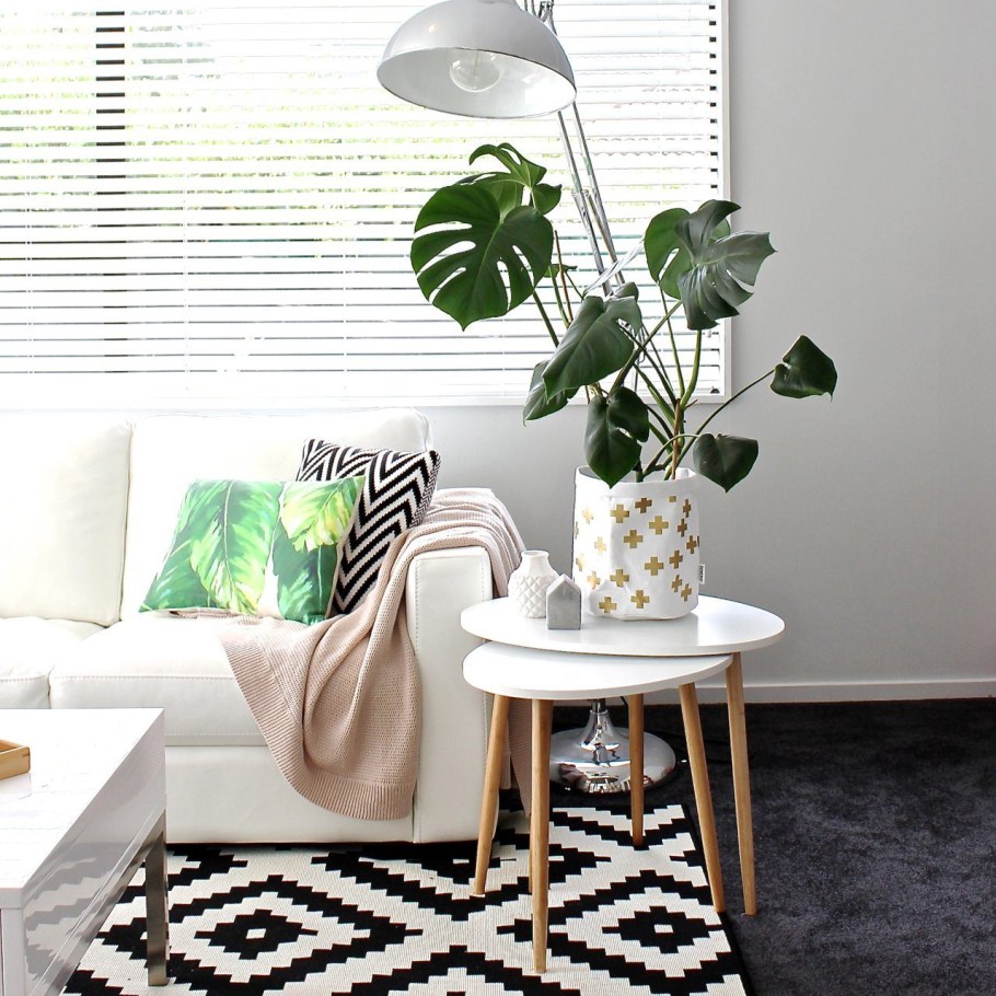 Цветы в интерьере