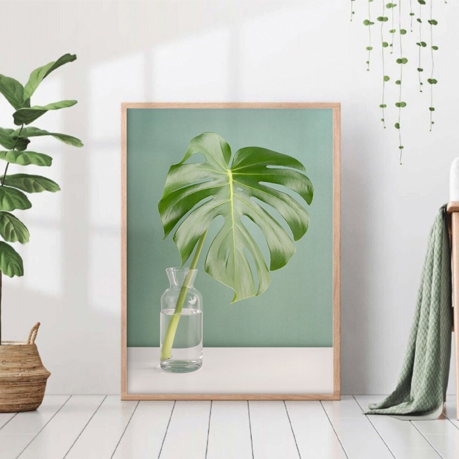 Постер листья