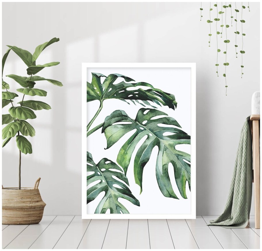 Монстера на стене в интерьере