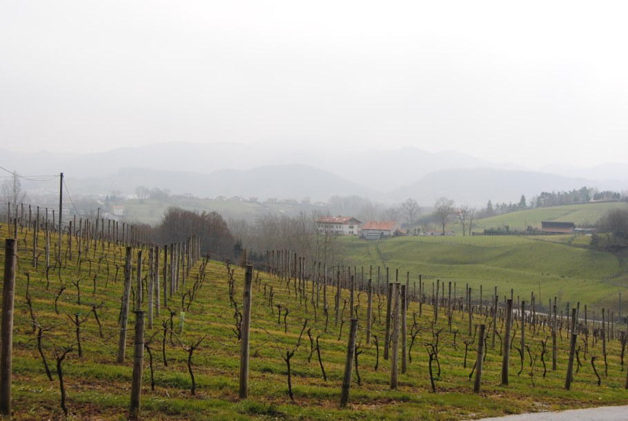 Университет страны Басков