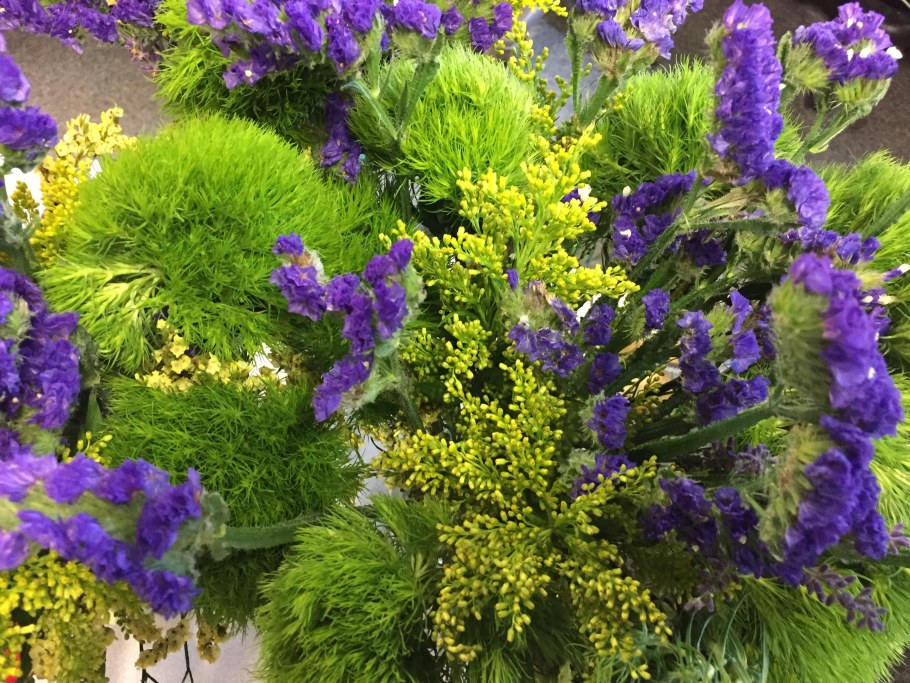 Статица цветы