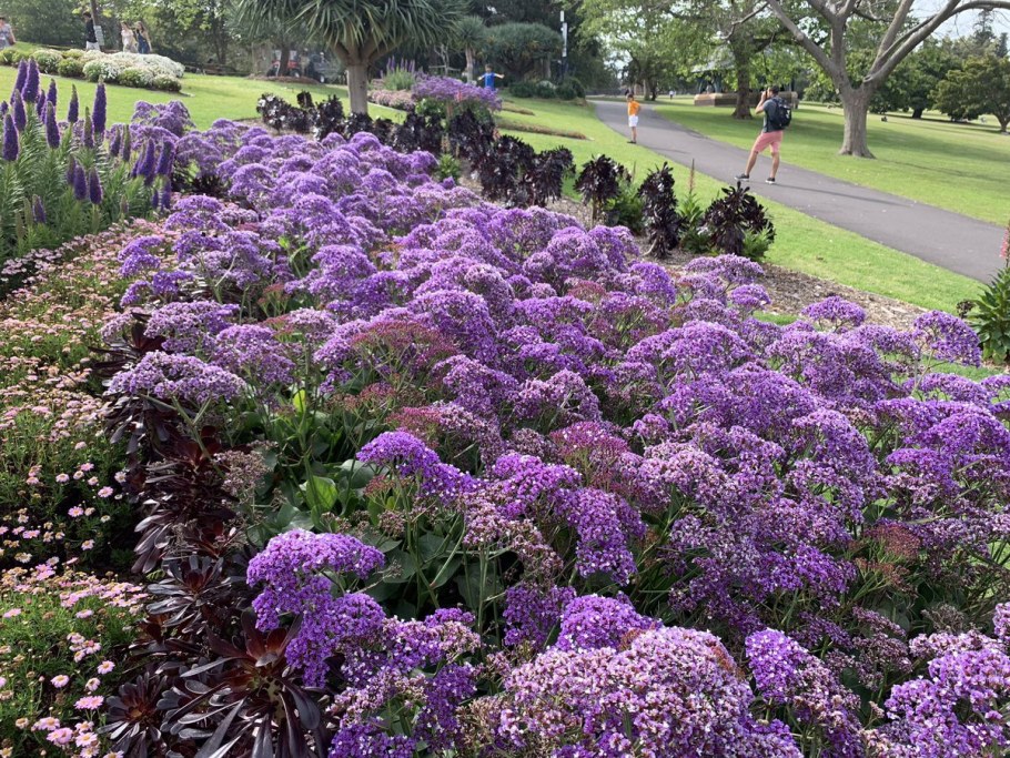 Кермек Переса