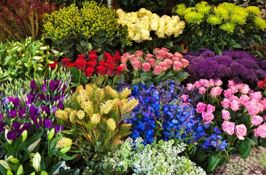 Статица на клумбе