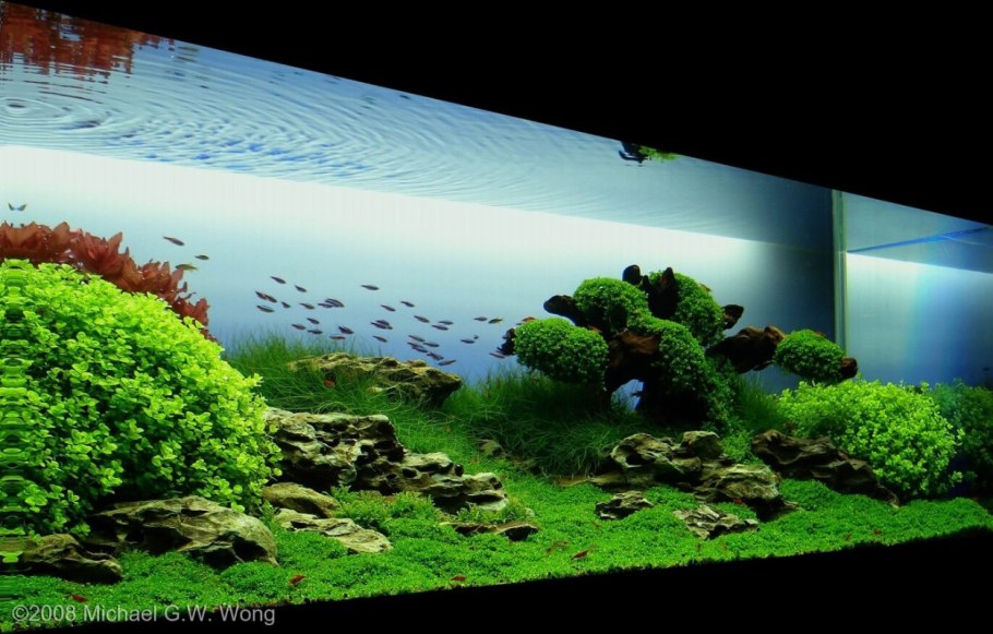 Акваскейп 80л