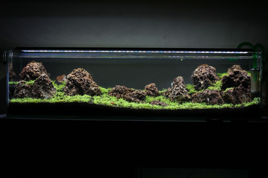 Акваскейп Ивагуми