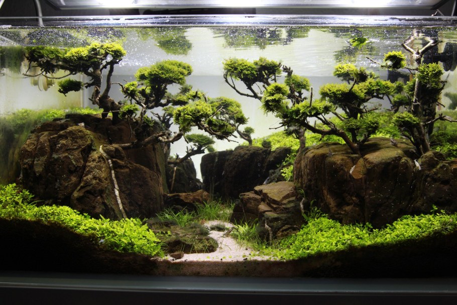 Акваскейп 150 литров